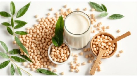 Cual es la Leche de Soja